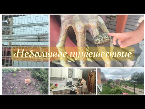 Видео: Небольшое путешествие. 