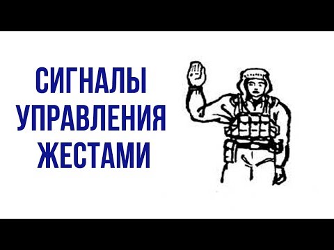 Видео: Сигналы управления жестами