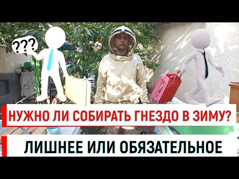 Видео: Нужно ли собирать гнездо в зиму? Делай так!