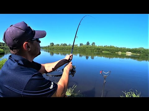 Видео: Хто Сказав, Що Рано Вранці Клює Краще? Можете Подивитись.  Фідер на Десні