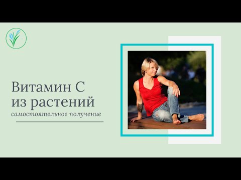 Видео: Витамин С из растений  Самостоятельное изготовление витаминных препаратов