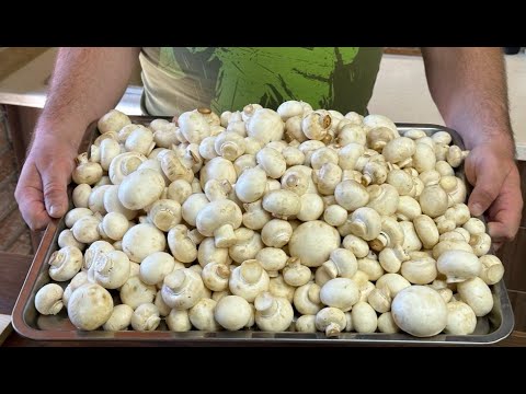 Видео: САМЫЙ ВКУСНЫЙ РЕЦЕПТ ИЗ ШАМПИНЬОНОВ!