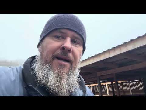 Видео: З Новим роком! Вирощування телиці до корови. Private Milk | Михайло Травецький | Велесова ферма