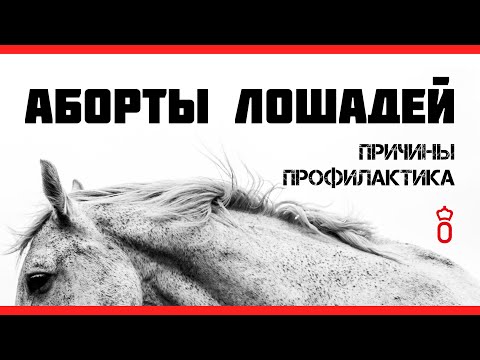 Видео: Профилактика абортов у лошадей