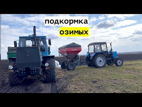 Видео: Подкормка озимых. Наконец то в ПОЛЕ!