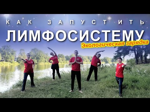 Видео: КАК ЗАПУСТИТЬ ЛИМФОСИСТЕМУ: Снимаем Отечность, Стимулируем Отток Крови | Экологическая Зарядка