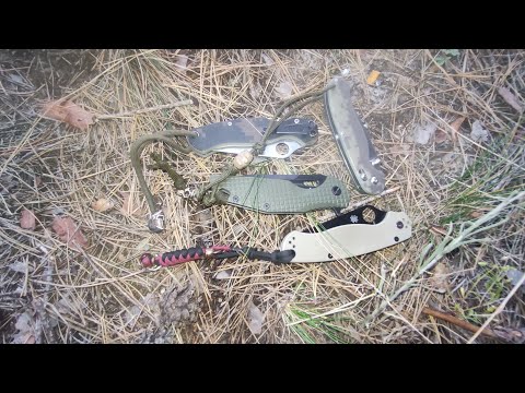 Видео: Skif Defender, Ganzo g727m, Spyderco Paramilitary 2 тест в полі