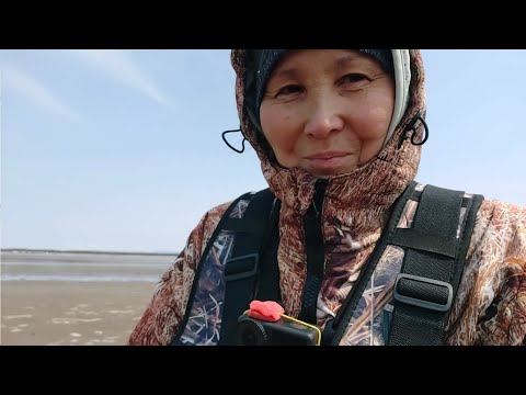 Видео: На песчаном берегу копаем моллюски..