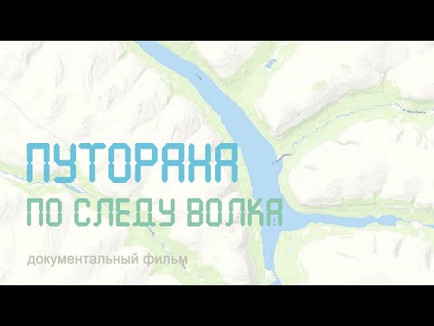 Видео: Сибирь. Плато Путорана. Озеро Аян. По следу волка. Nature of Russia.