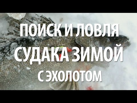 Видео: КАК ЛОВИТЬ СУДАКА ЗИМОЙ с ЭХОЛОТОМ. СОВЕТЫ по РЫБАЛКЕ и НАСТРОЙКЕ ЭХОЛОТА