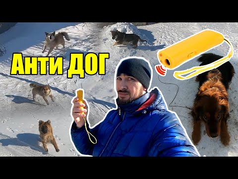 Видео: Отпугиватель собак | Анти Dog | Собрал всех собак