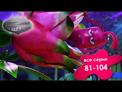Видео: Прикольный мультик «Овощная вечеринка» - Сборник для детей 81 - 104 (Выпуск 5)