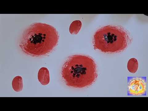 Видео: Маки