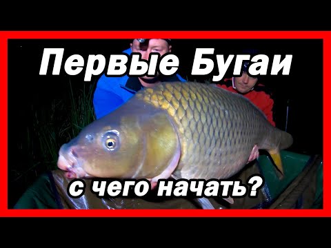 Видео: Карпфишинг для начинающих, рыбалка на карпа в завоз  (Первые Бугаи / Лето / 2020)