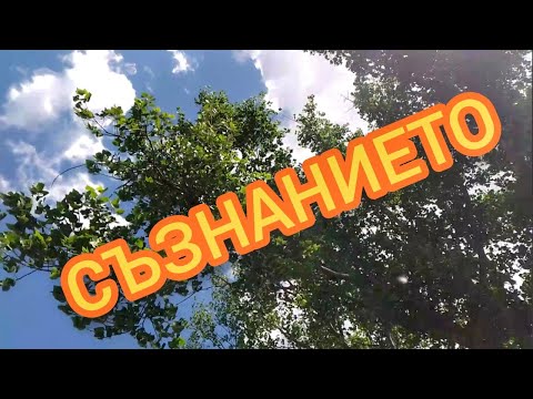 Видео: СЪЗНАНИЕТО + ТЕХНИКИ | ВЕКТОР