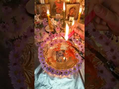 Видео: 🔥💯Чистка спины, позвоночника, Поясницы 🙏