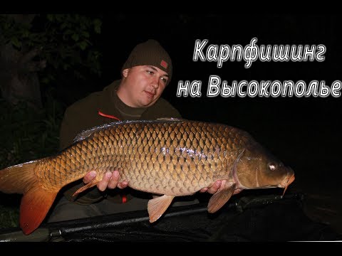 Видео: Карпфишинг. Экшен рыбалка на озере Высокополье.