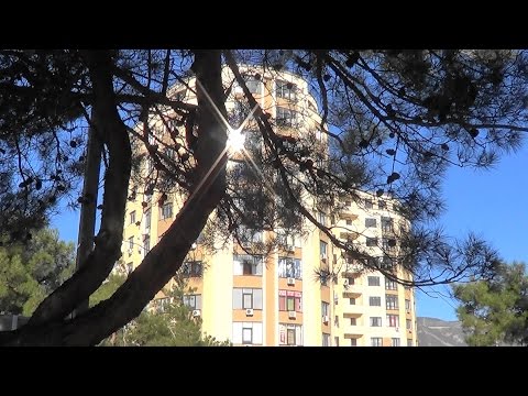 Видео: Геленджик. Улица Курзальная
