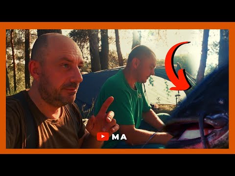 Видео: В поисках сома . Поход и рыбалка на Западной Двине .