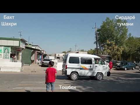 Видео: Бахт Шахри