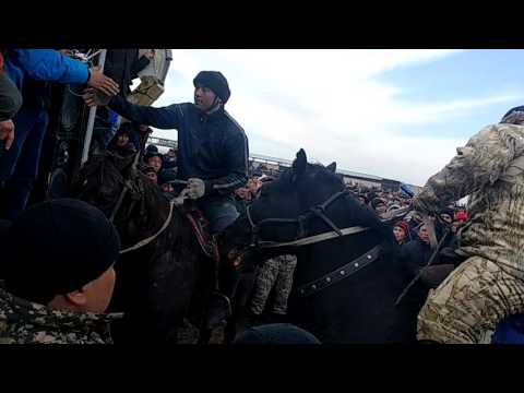 Видео: Еркін Нұржанов көкпары 26.02.2017