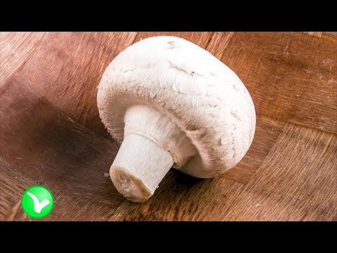 Видео: Шампиньоны — польза и вред для здоровья. Кому запрещено есть шампиньоны.