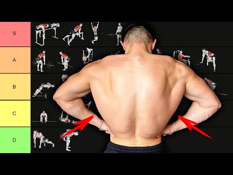 Видео: УПРАЖНЕНИЯ НА СПИНУ ОТ ХУДШИХ К ЛУЧШИМ | РЕЙТИНГ ЭФФЕКТИВНОСТИ
