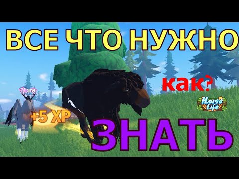 Видео: Как Взять Сразу Несколько Лошадей? Хочу Играть, но ВСЕ Закрыто! Как Открыть? Хорс Лайв роблокс