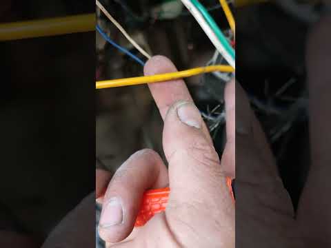 Видео: 16 января 2024 г.