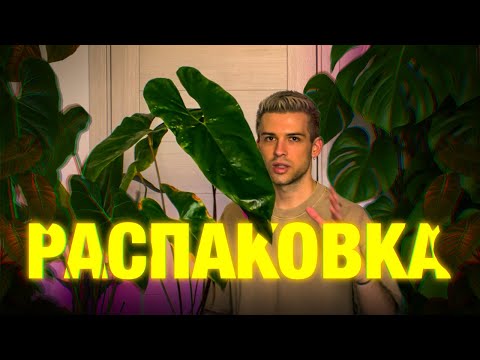 Видео: Большая РАСПАКОВКА для растений: товары с WB + пересадка алоказий | проращивание клубней во мху