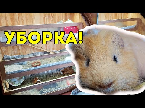 Видео: УБОРКА СТЕЛЛАЖА. ВИДЕО МОТИВАЦИЯ от SvinkiShow