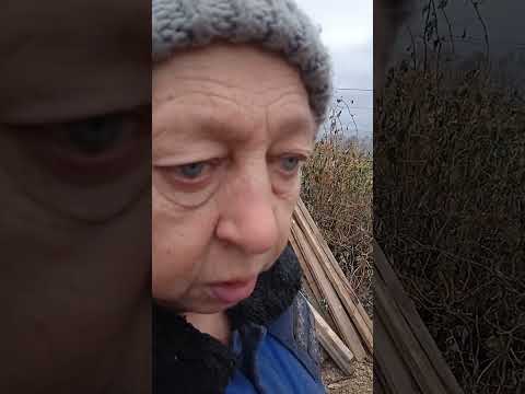 Видео: По  Конституции 1936  года! Действующей! Вечной!!! 