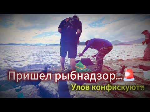 Видео: Думал, пришёл рыбнадзор... а это местные старики в ярости 😱
