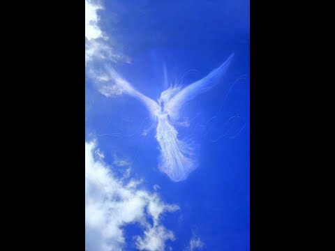 Видео: Разочарование  рода 6 8 20