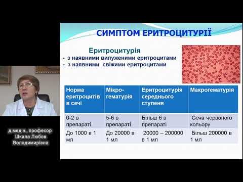 Видео: Лекція "Основні симптоми та синдроми при захворюваннях нирок"