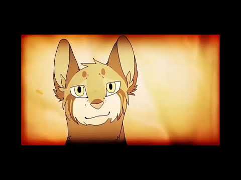 Видео: Коты воители клип Листвичка [ Зеркало скажи мне кто прекраснее всех]