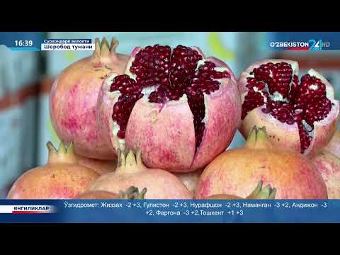 Видео: Махсус репортаж | Шеробод анорчилик мактаби: мева етиштириш, сақлаш ва қайта ишлаш