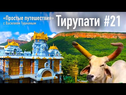 Видео: "Простые путешествия" #21 - Тирупати