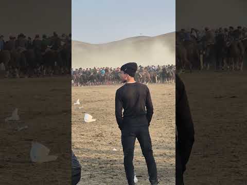 Видео: 22 октября 2025 г.