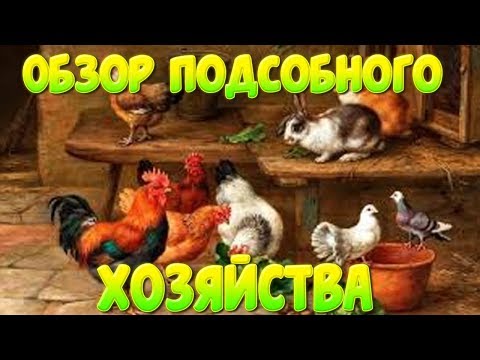 Видео: Обзор подсобного хозяйства  // Жизнь в деревне