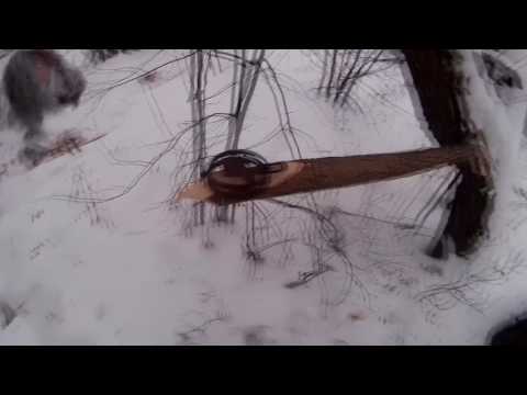 Видео: #37 установка капканов на куницу,я это сделал так...