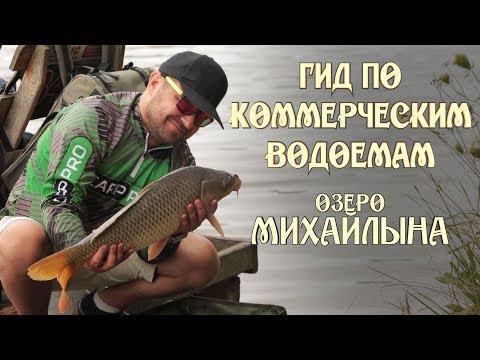 Видео: Где и как поймать карпа. Гид по коммерческим водоемам.