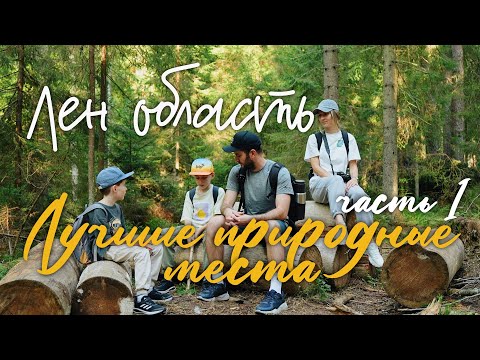 Видео: Лучшие природные места в Ленинградской области. Топовые места для семейных прогулок. Часть 1