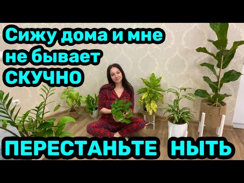 Видео: СИЖУ ДОМА / Хобби и увлечения / ПЕРЕСТАНЬТЕ НЫТЬ