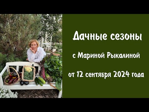 Видео: Дачные сезоны с Мариной Рыкалиной от 12 сентября 2024 года