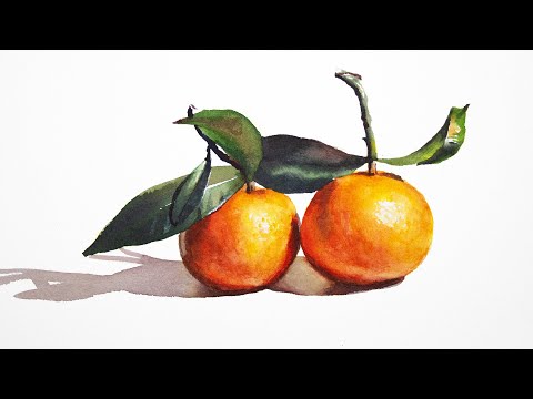 Видео: Рисуем мандарины акварелью под мягким светом ламп Litones