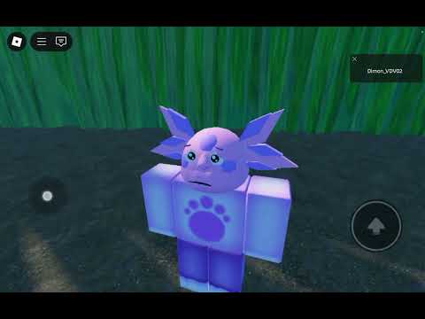 Видео: 14 октября 2025 г.