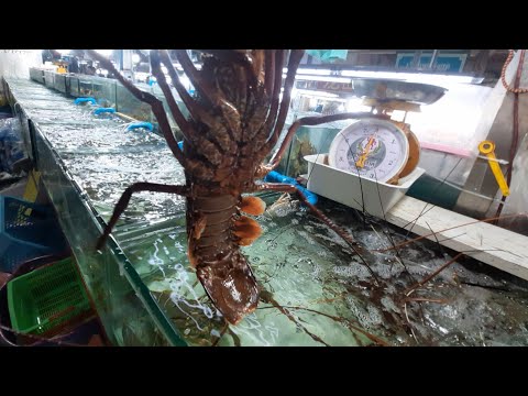 Видео: Зашёл На Банзан и Увидел Это.25.01.2024.#пхукет #тайланд #шопинг #фрукты #fruit #thailand