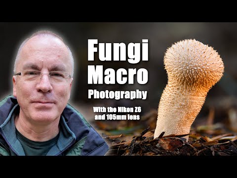Видео: Макросъемка грибов с помощью Nikon Z6 и макрообъектива Z 105 мм