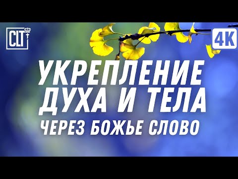 Видео: Укрепление духа и тела | Покой | Исцеление | Relaxing